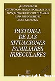 Pastoral de las situaciones familiares irregulares