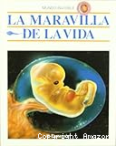 La maravilla de la vida