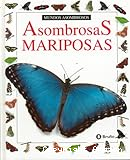 Asombrosas mariposas