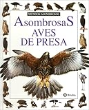 Asombrosas aves de presa