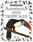 Asombrosas aves tropicales