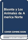 El bisonte y los animales de América del Norte